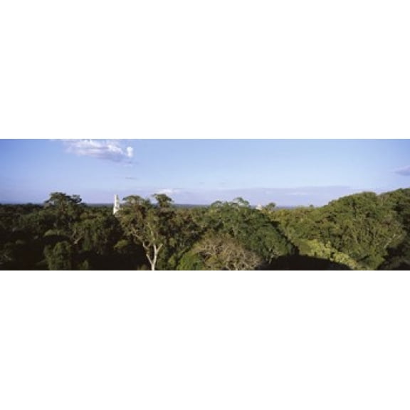 Old Temple In The Forest Tikal Guatemala Canvas Art - Panoramic Images (36 x 12)