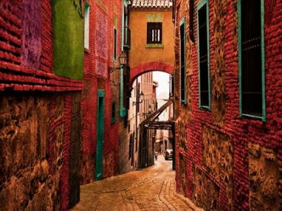 Old Toledo Canvas Art - Ynon Mabat (18 x 24)
