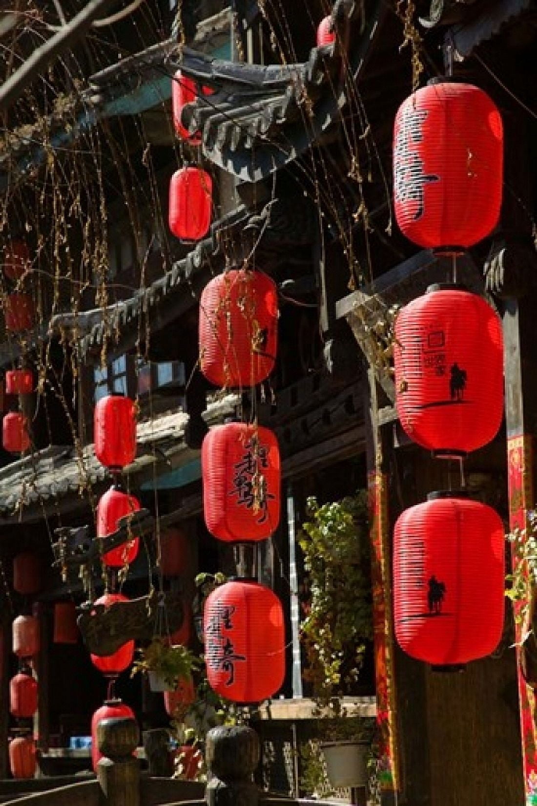 Old Town red lanterns outside restaurants Xinhua Jie Street Lijiang Yunnan Province China Canvas Art - Walter Bibikow DanitaDelimont (11 x 17)