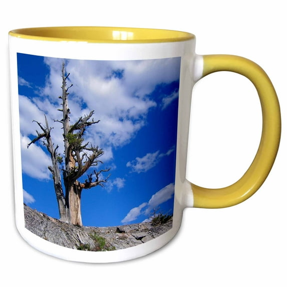 3drose, Old Tree, 11oz Two-tone Yellow Mug