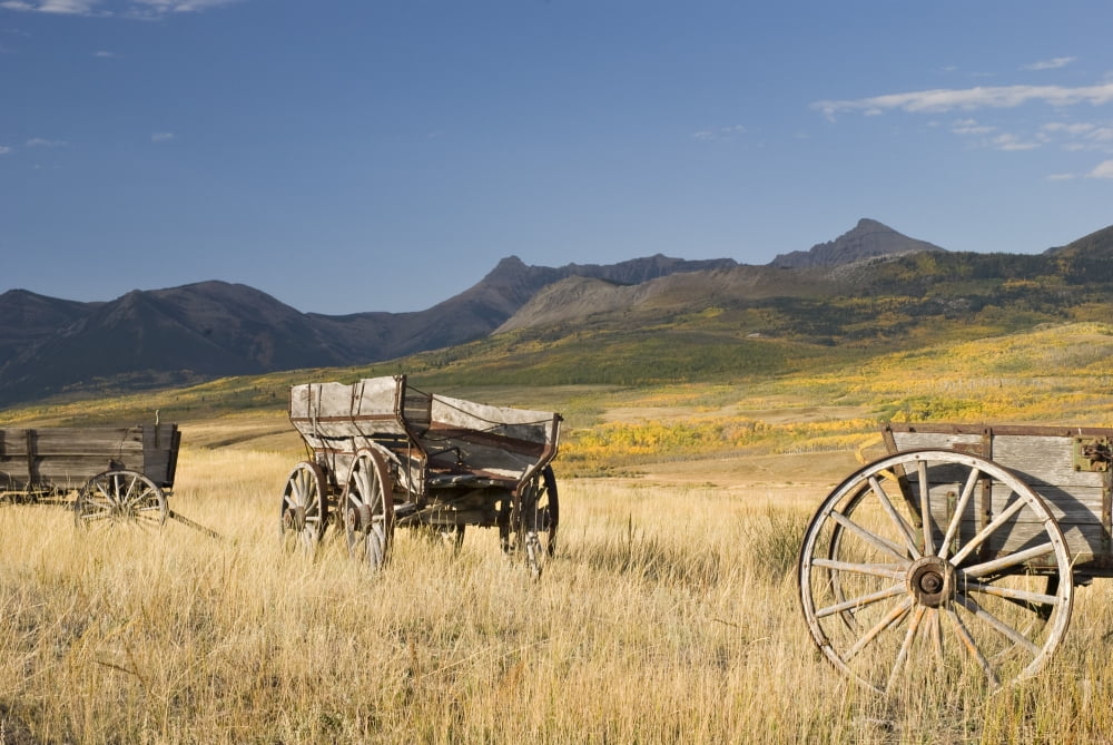 Old Wagons Foothills Alberta Canada Canvas Art - Philippe Widling Design Pics (34 x 22)