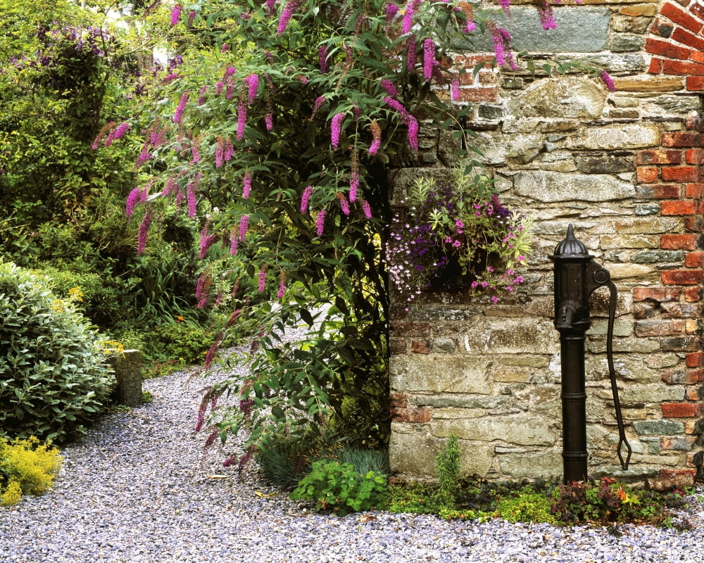 Old Water Pump Ram House Garden Co Wexford Ireland Canvas Art - The Irish Image Collection Design Pics (16 x 12)