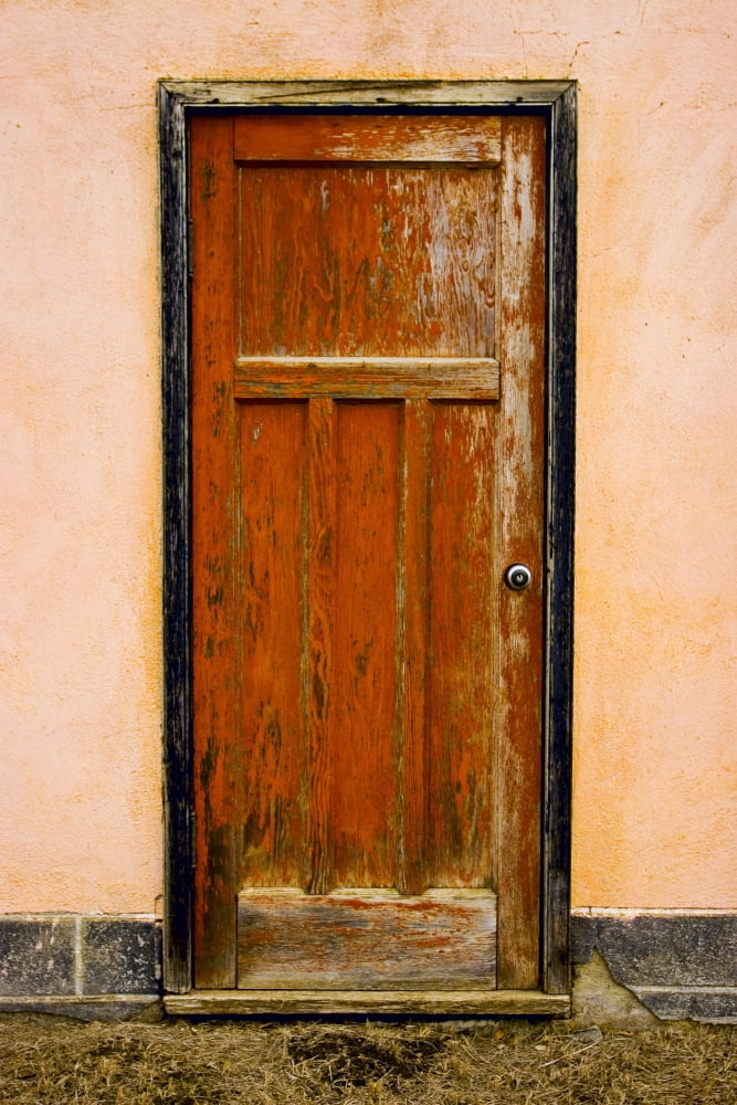 Old Weathered Door Canvas Art - Don Hammond Design Pics (11 x 17)