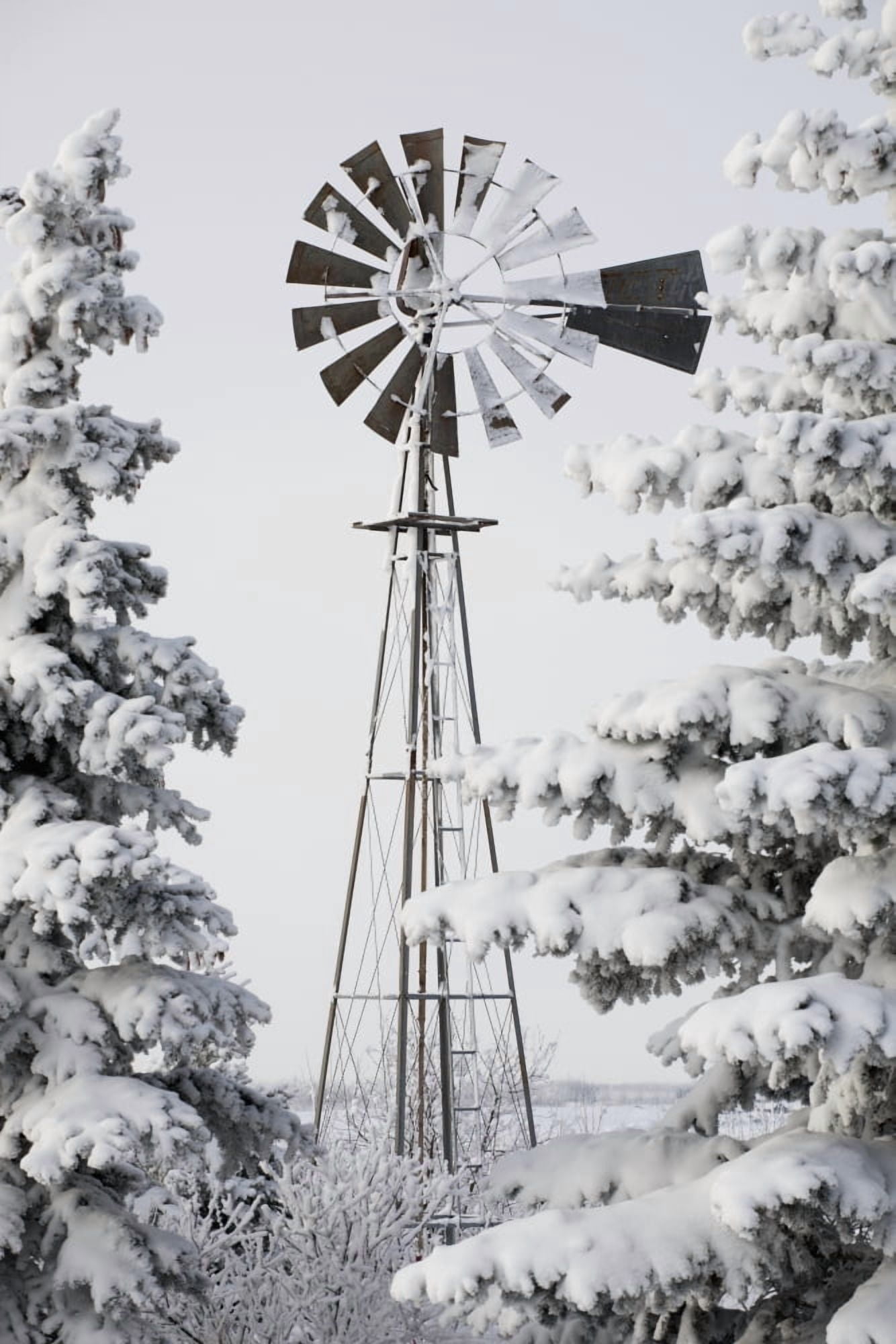 Old Windmill And Trees Covered With Snow And Frost Calgary Alberta Canada Canvas Art - Michael Interisano Design Pics (12 x 19)