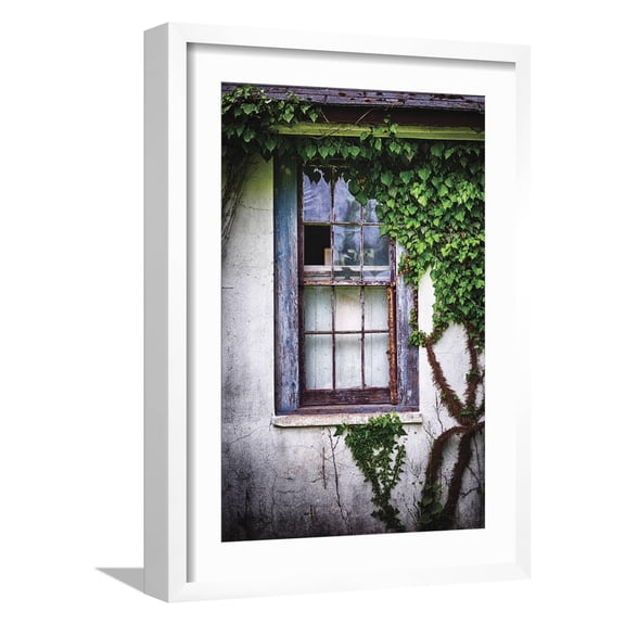 Art.com Old Window with Ivy Photographic Print by George Oze, White Frame Wall Art, 17" x 23"