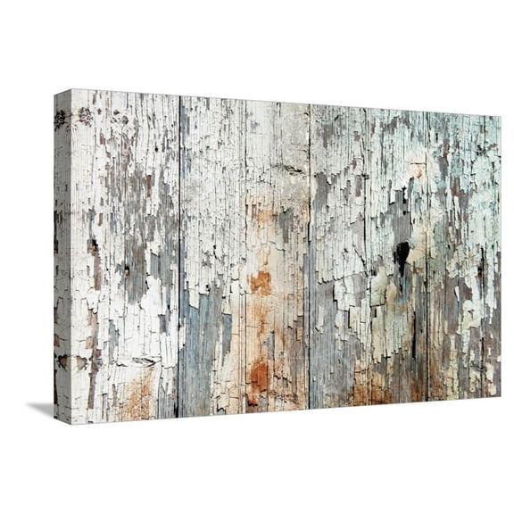 Old Wood Planks Background, Stretched Canvas Wall Art by Tony Baggett Sold by Art.Com