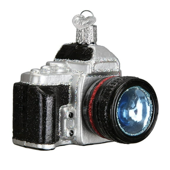 Old World Christmas 32227 Camera Glass Blow Christmas Ornament Camera
