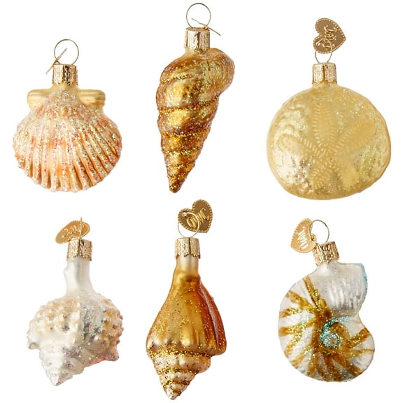 Old World Christmas Assorted Sea Shell Set Glass Blown Ornament