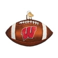 thumbnail image 1 of Old World Christmas Blown Glass Ornament for Christmas Tree, Wisconsin Badgers Football, 1 of 5
