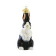 thumbnail image 1 of Old World Christmas Dutch Rabbit Glass Blown Ornament for Christmas Tree, 1 of 5