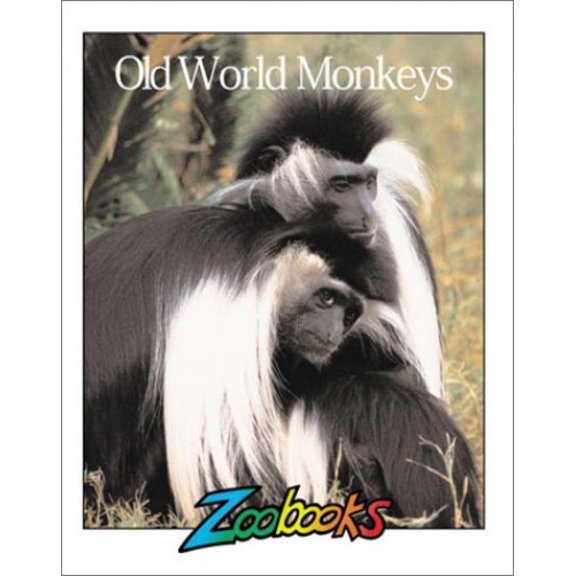 Pre-Owned Old World Monkeys (Paperback) 0937934690 9780937934692