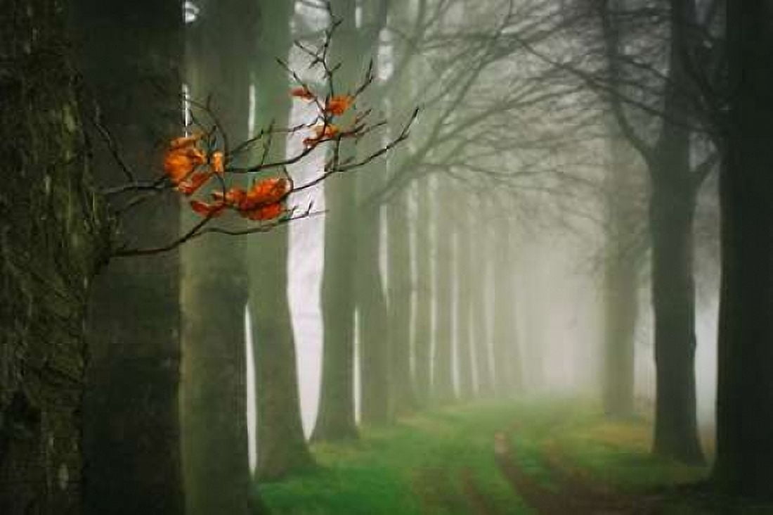 Old and New Canvas Art - Lars Van de Goor (12 x 18)