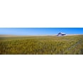 thumbnail image 1 of Old barn in a field, Palouse County, Washington State, USA Poster Print (36 x 12), 1 of 1
