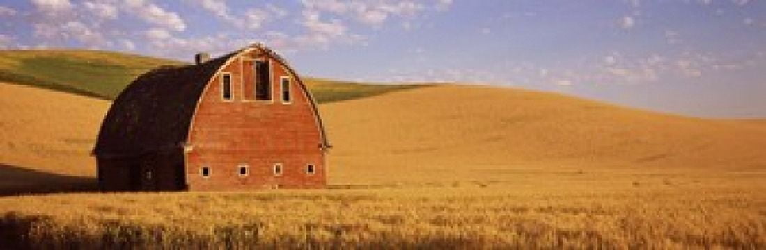 Old barn in a wheat field Palouse Whitman County Washington State USA Canvas Art - Panoramic Images (18 x 6)