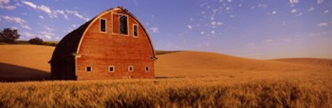 Old barn in a wheat field Palouse Whitman County Washington State USA Canvas Art - Panoramic Images (18 x 6)