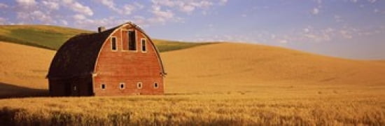 Old barn in a wheat field Palouse Whitman County Washington State USA Canvas Art - Panoramic Images (36 x 12)