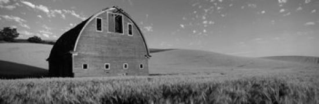Old barn in a wheat field Palouse Whitman County Washington State USA Canvas Art - Panoramic Images (36 x 12)