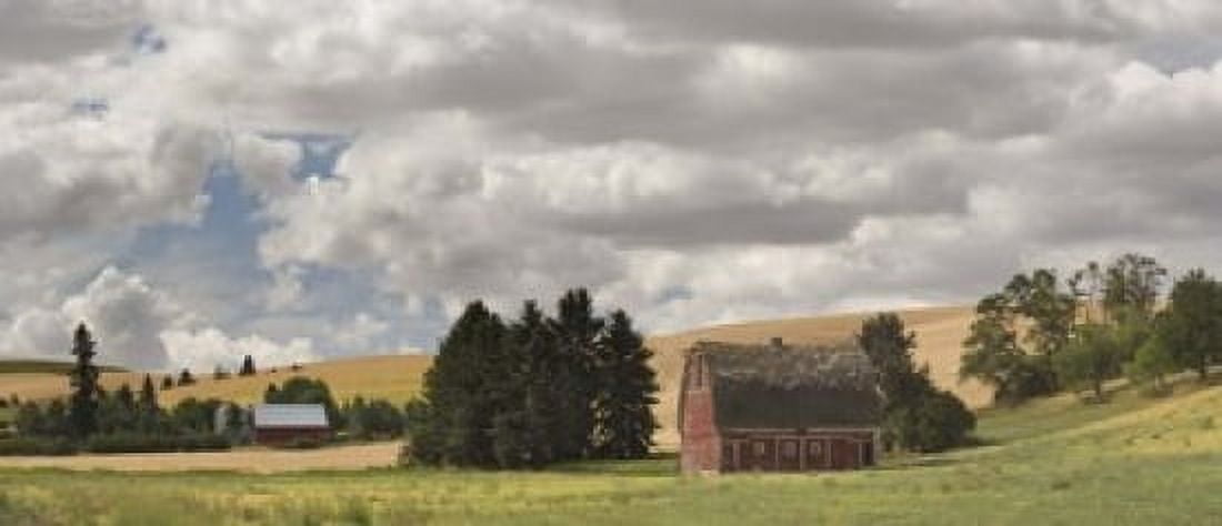 Old barn under cloudy sky Palouse Washington State USA Canvas Art - Panoramic Images (15 x 6)