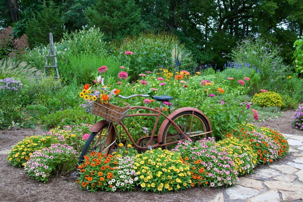 Old bicycle with flower basket in a garden with stone path Zinnias obelisk and Trellis Marion County Illinois USA Canvas Art - Panoramic Images (18 x 24)