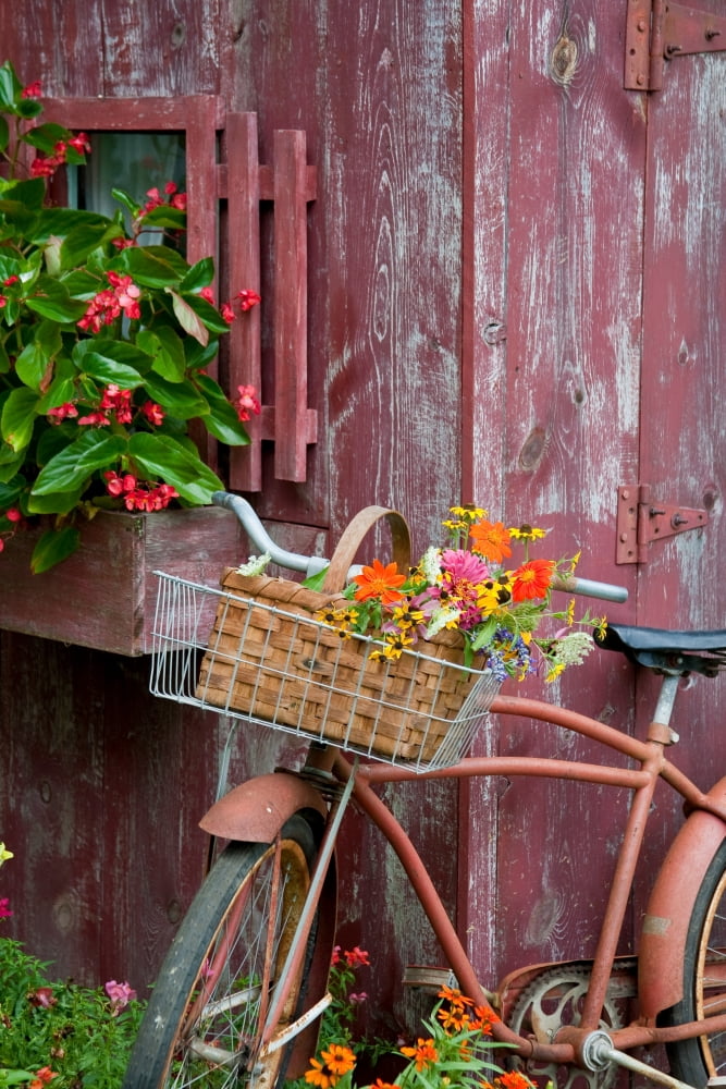 Old bicycle with flower basket next to old outhouse garden shed Marion County Illinois USA Canvas Art - Panoramic Images (24 x 36)