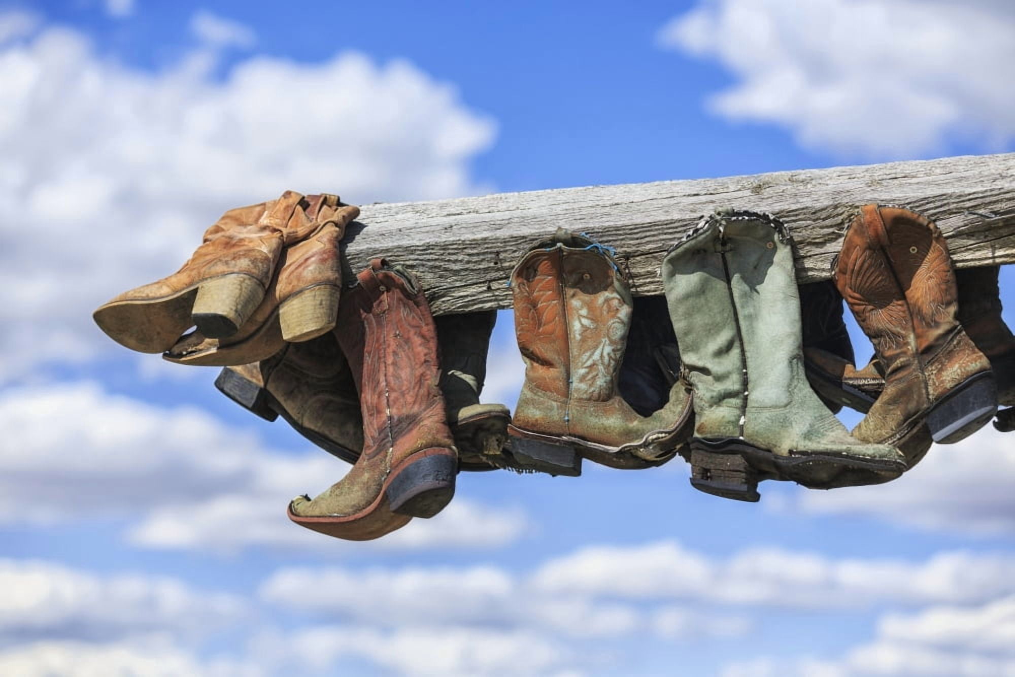 Old cowboy boots hanging in memory of John Booth Great Sandhills near Sceptre Saskatchewan Canada Canvas Art - Ken Gillespie Design Pics (19 x 12)