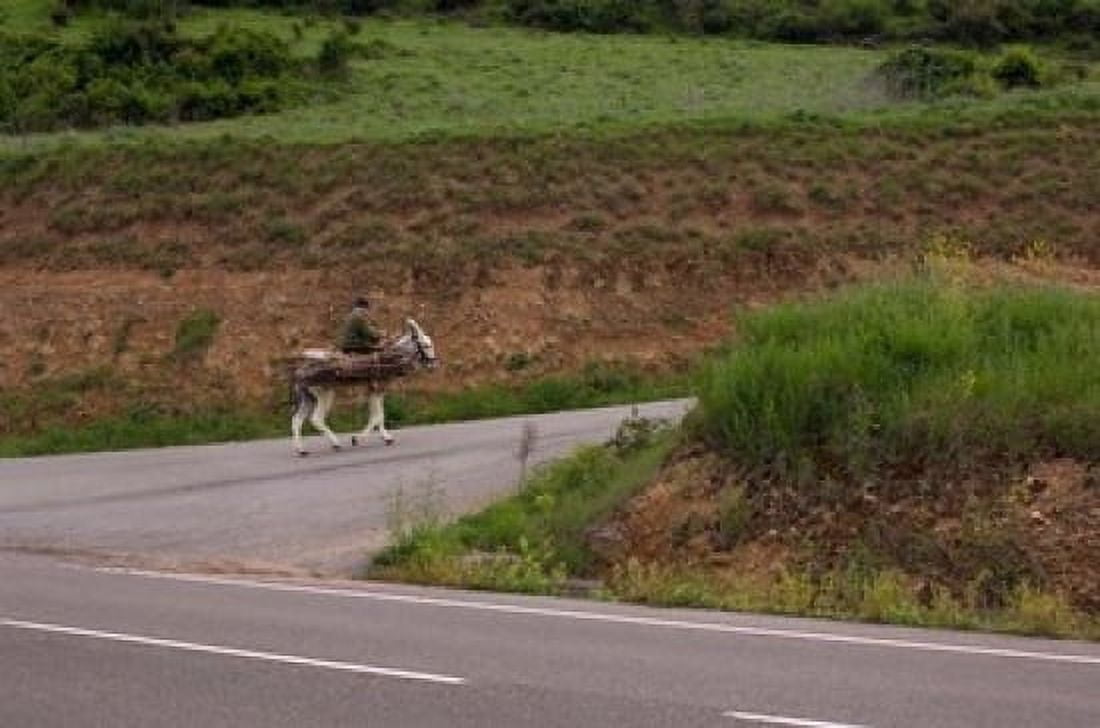 Old man rides a donkey loaded with wood Anguiano La Rioja Spain Canvas Art - Janis Miglavs DanitaDelimont (24 x 15)