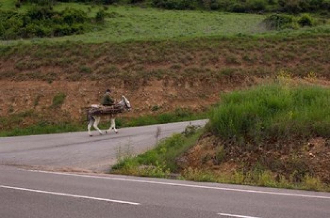 Old man rides a donkey loaded with wood Anguiano La Rioja Spain Canvas Art - Janis Miglavs DanitaDelimont (35 x 23)