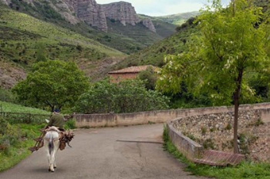 Old man rides a donkey loaded with wood Anguiano La Rioja Spain Canvas Art - Janis Miglavs DanitaDelimont (35 x 23)