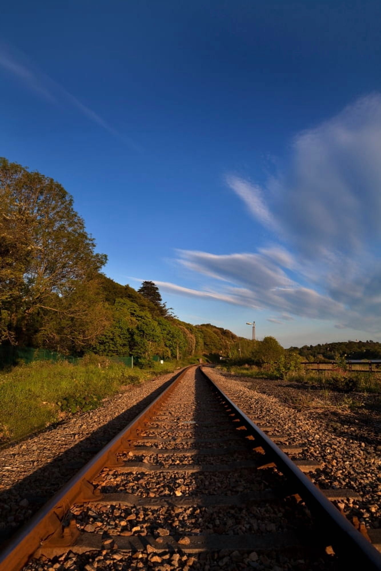 Old railway tracks County Waterford Ireland Canvas Art - Panoramic Images (36 x 12)