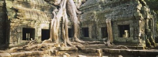 Old ruins of a building Angkor Wat Cambodia Canvas Art - Panoramic Images (36 x 13)