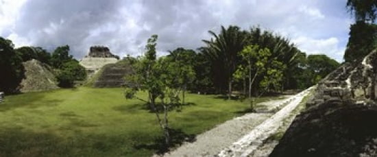 Old ruins of a temple in a forest Xunantunich Belize Canvas Art - Panoramic Images (30 x 13)