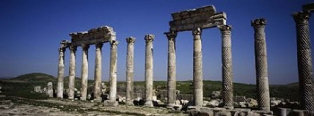 Old ruins on a landscape Cardo Maximus Apamea Syria Canvas Art - Panoramic Images (15 x 6)