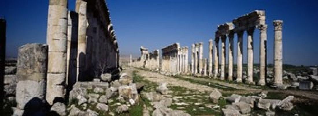 Old ruins on a landscape Cardo Maximus Apamea Syria Canvas Art - Panoramic Images (18 x 7)