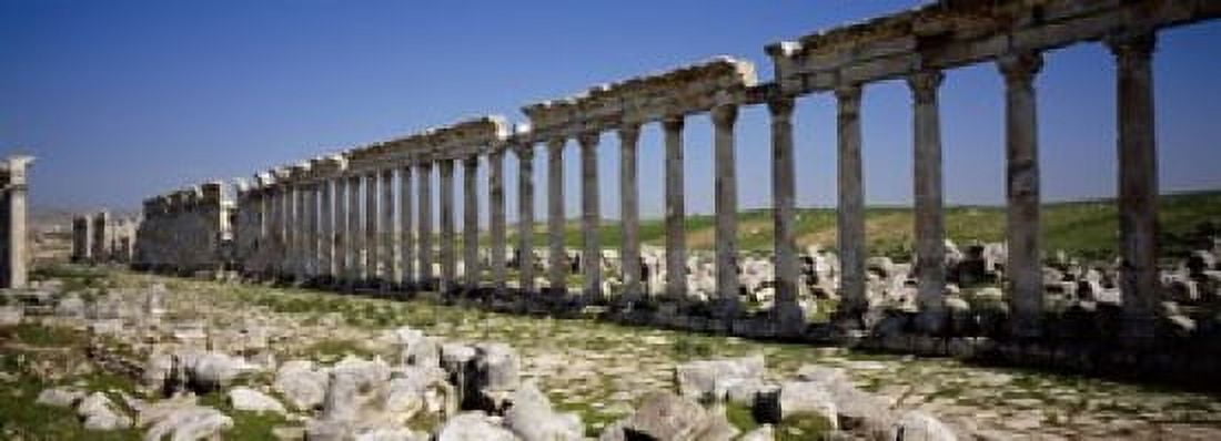 Old ruins on a landscape Cardo Maximus Apamea Syria Canvas Art - Panoramic Images (18 x 7)