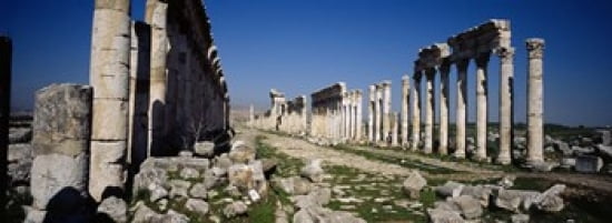 Old ruins on a landscape Cardo Maximus Apamea Syria Canvas Art - Panoramic Images (36 x 13)
