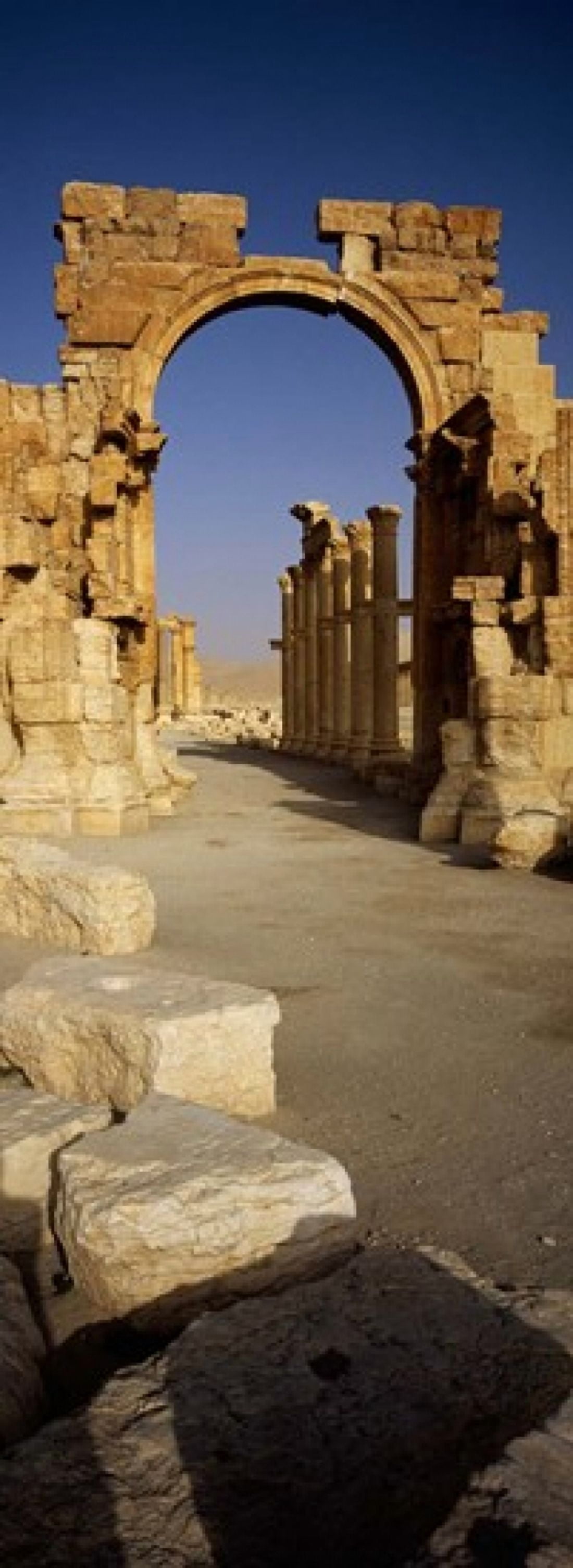 Old ruins on a landscape Palmyra Syria Canvas Art - Panoramic Images (36 x 13)