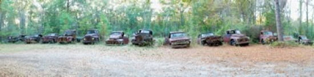 Old rusty cars and trucks in a field Crawfordville Wakulla County Florida USA Canvas Art - Panoramic Images (40 x 10)