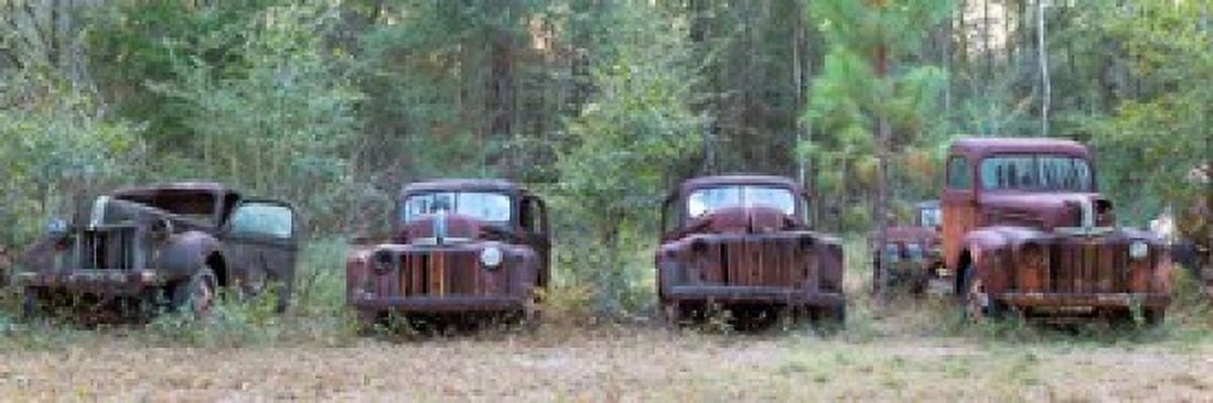 Old rusty cars and trucks on Route 319 Crawfordville Wakulla County Florida USA Canvas Art - Panoramic Images (18 x 6)
