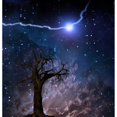 thumbnail image 1 of Old tree.  bolt in starry sky Poster Print by Bruce Rolff/Stocktrek Images, 1 of 1