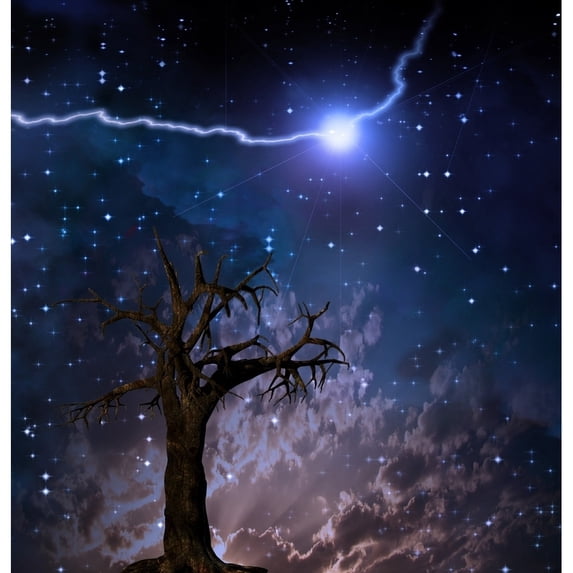 Old tree. bolt in starry sky Poster Print by Bruce Rolff/Stocktrek Images