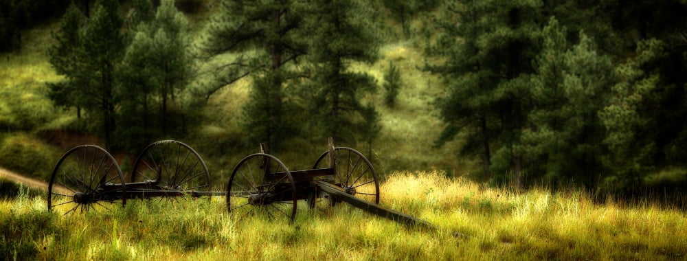 Old wagon frame in the Black Hills Custer County South Dakota USA Canvas Art - Panoramic Images (27 x 9)