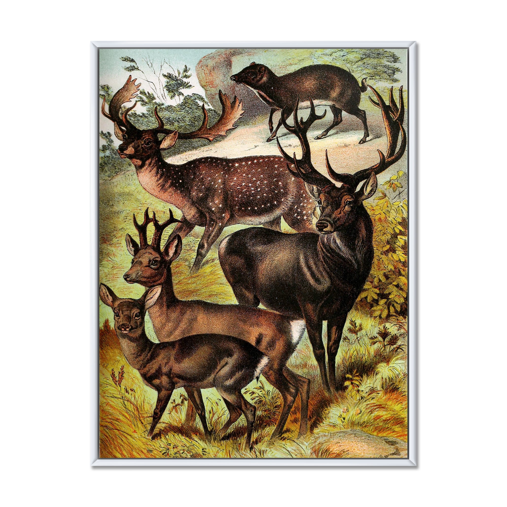 Old-world Mammals I 16 in x 32 in Framed Painting Canvas Art Print, by Designart