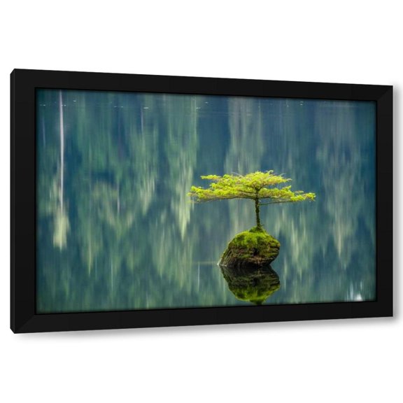 Tim Oldford 14x11 Black Modern Wood Framed Wall Art Titled - Fairy Lake Bonsai