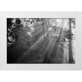 thumbnail image 1 of Oldford, Tim 14x11 White Modern Wood Framed Museum Art Print Titled - In a Haze, 1 of 4