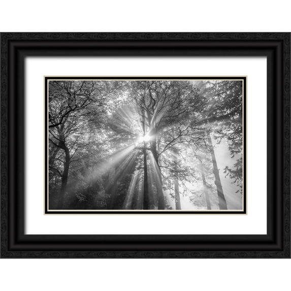 Oldford, Tim 24x17 Black Ornate Wood Framed with Double Matting Museum Art Print Titled - The Trees Have Eyes