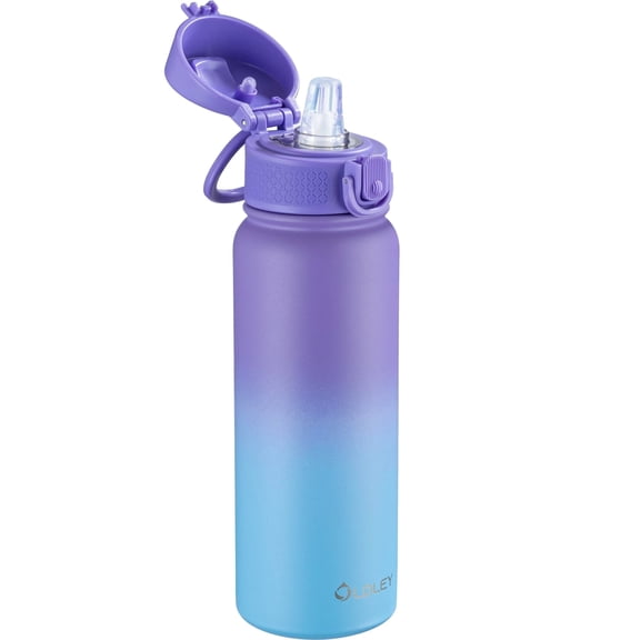Oldley Insulated 20 oz Purple Modern Stainless Steel Water Bottle with Straw Lid