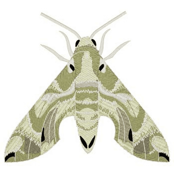 Oleander Moth Embroidered Patch 3.8" x 3.9"