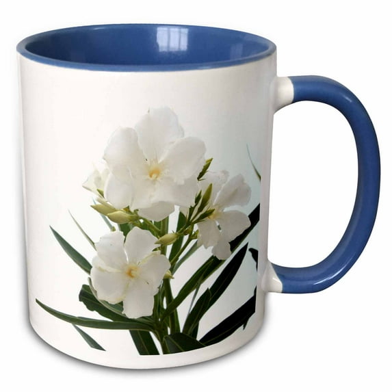 3drose, Oleander White - White, Flower, Tree, Oleander, Blossom, Tropical Plant, Buds, 15oz Two-tone Blue Mug