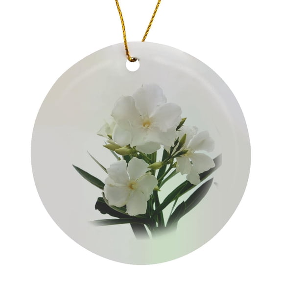 3drose, Oleander White - White, Flower, Tree, Oleander, Blossom, Tropical Plant, Buds, Circle Porcelain Ornament