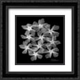 thumbnail image 1 of Oleander X-Ray 2x Matted 20x20 Black Ornate Framed Art Print by Koetsier, Albert, 1 of 2